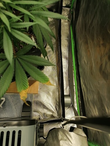Growreport Bild 11