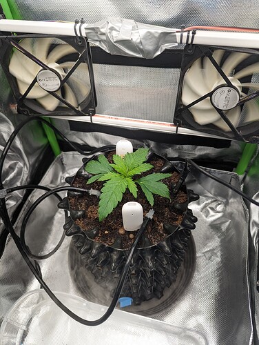 Growreport Bild 3