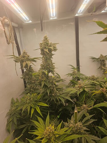Growreport Bild 5