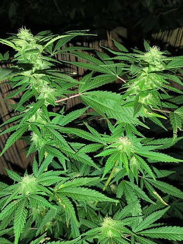 Growreport Bild 21
