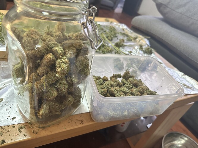 Growreport Bild 4