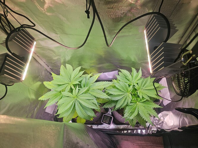 Growreport Bild 13