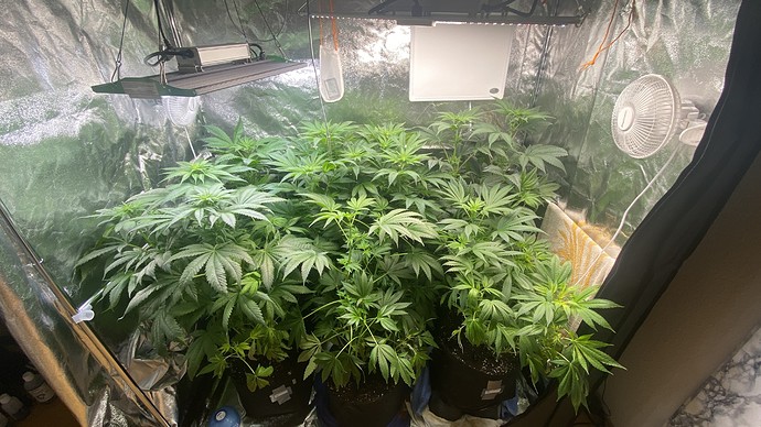 Growreport Bild 21