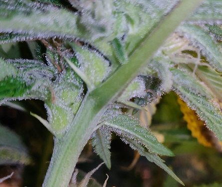 Growreport Bild 16