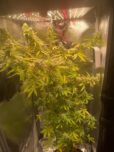 Growreport Bild 5