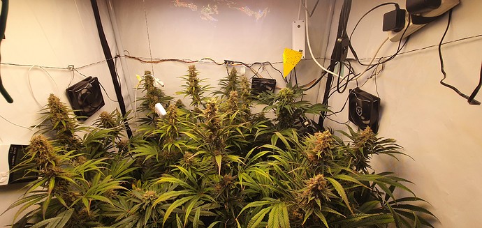 Growreport Bild 1