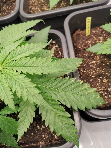 Growreport Bild 17