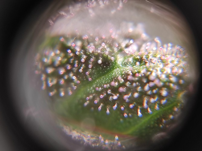 Growreport Bild 11