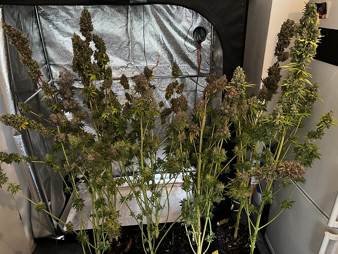 Growreport Bild 2
