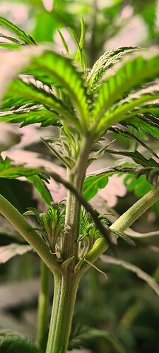 Growreport Bild 10