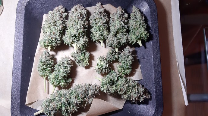 Growreport Bild 5