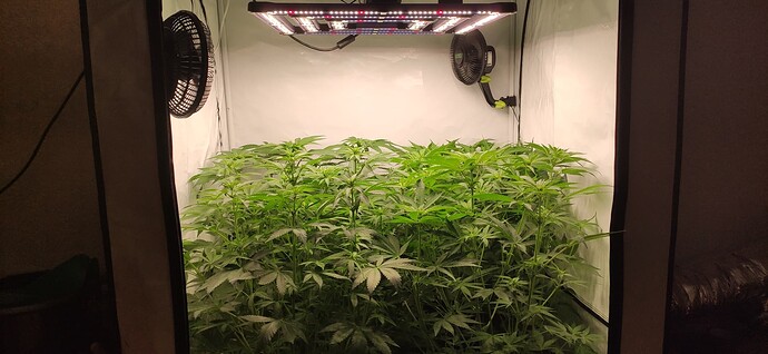 Growreport Bild 5