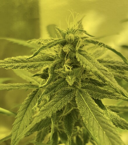 Growreport Bild 23