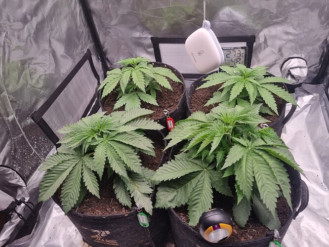 Growreport Bild 1