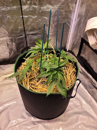 Growreport Bild 7