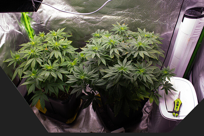 VT-45 120x60 (BT4 seit Umstellung)