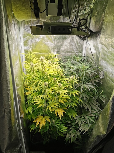 Growreport Bild 4