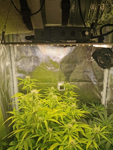 Growreport Bild 5