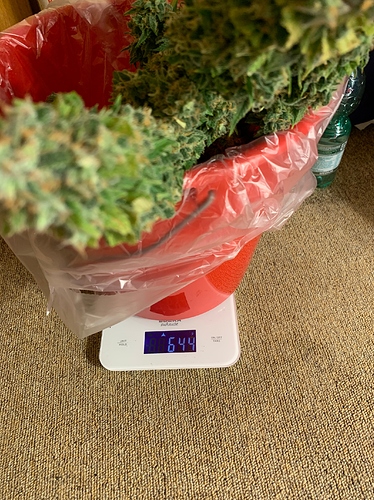 Growreport Bild 3