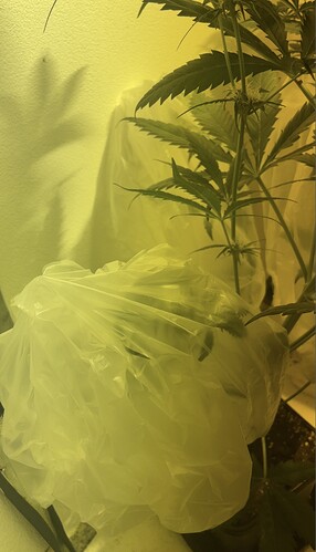 Growreport Bild 22