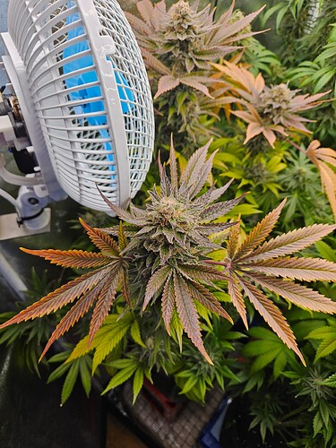 Growreport Bild 5