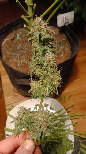 Growreport Bild 10