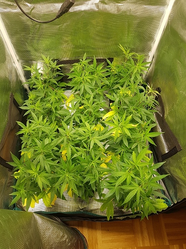 Growreport Bild 10