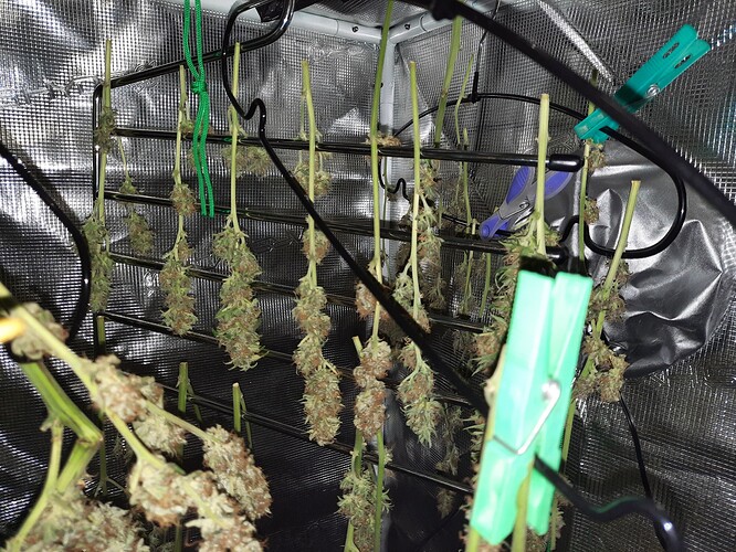 Growreport Bild 1