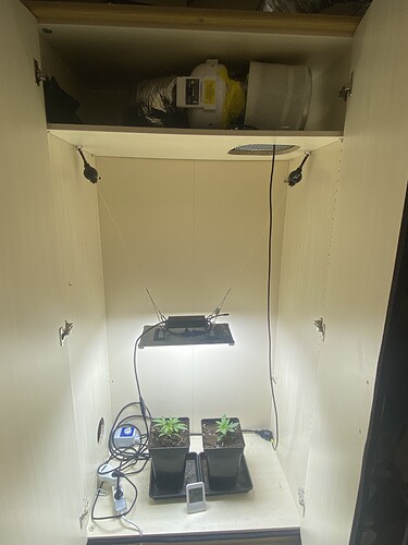 Growreport Bild 5