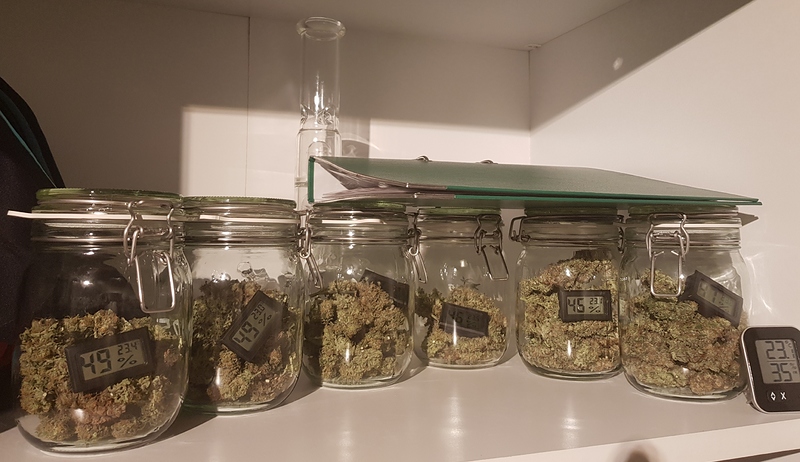 First Indoor Grow, Pro-emit DIY-M-200W LED