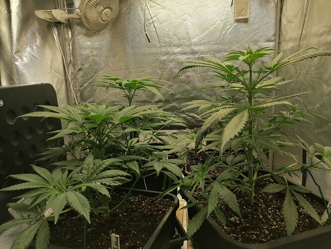 Growreport Bild 26