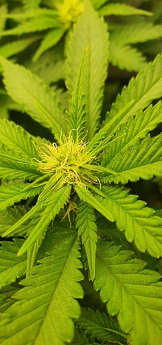 Growreport Bild 4