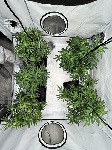 Growreport Bild 13