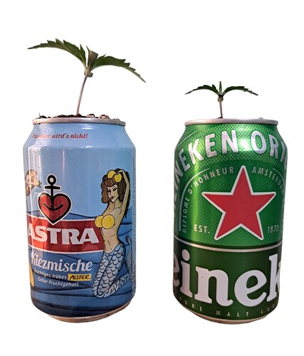 Screenshot_20231206_115053_PhotoRoom