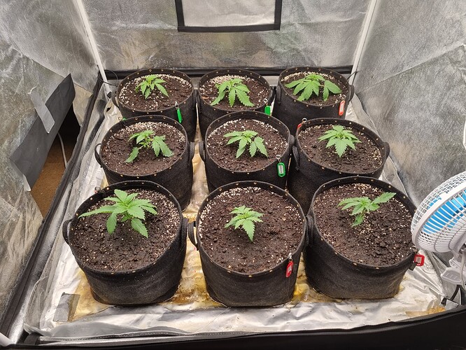 Growreport Bild 16