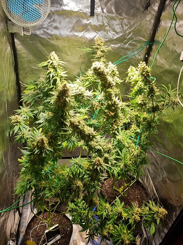 Growreport Bild 14
