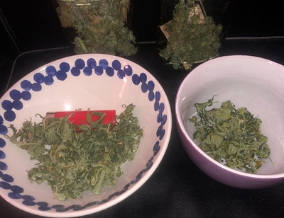 Growreport Bild 5