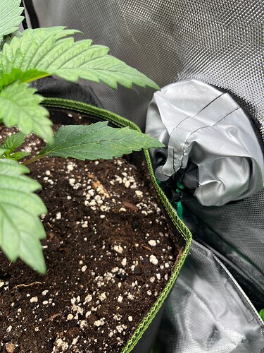 Growreport Bild 9