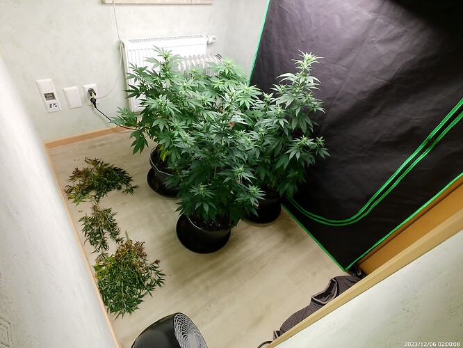 Growreport Bild 19