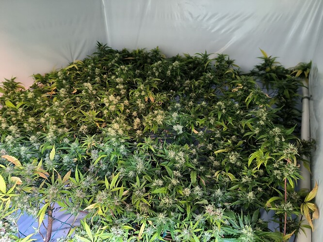 Growreport Bild 8