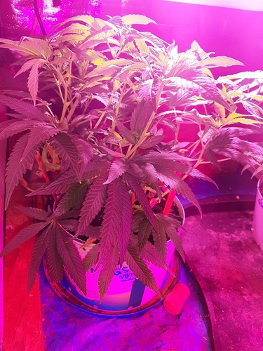 Growreport Bild 17
