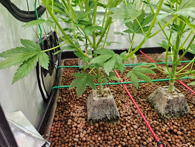 Growreport Bild 4