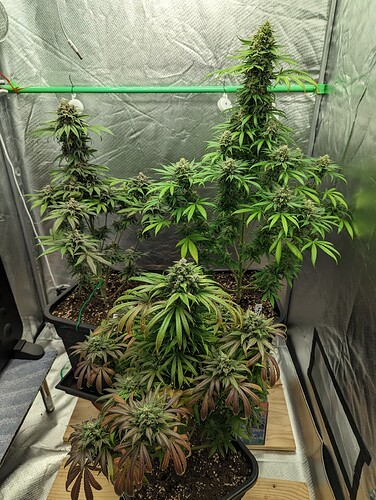Growreport Bild 8