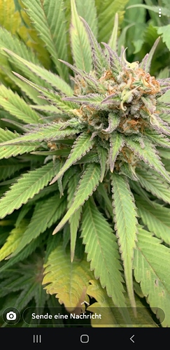 Screenshot_20200607-145634_Snapchat