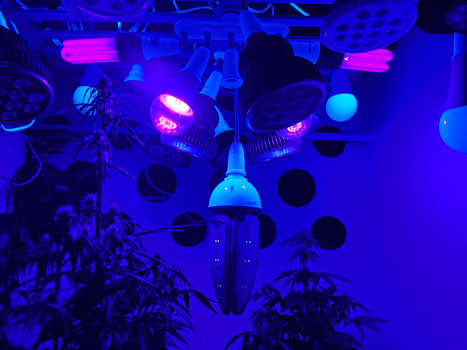 Growreport Bild 10