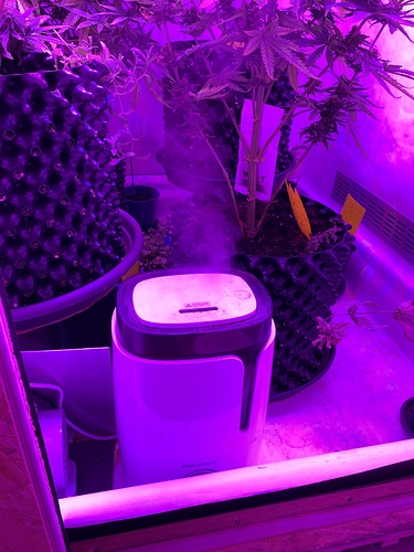 Growreport Bild 3