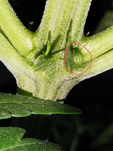 IMG_20211217_092508~2