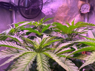 Growreport Bild 22
