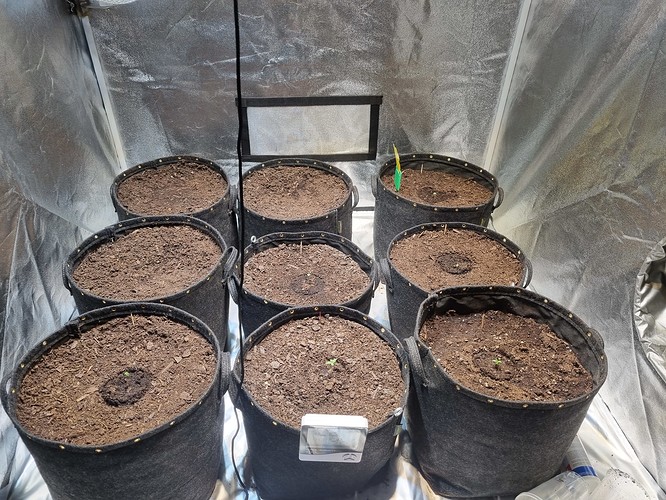 Growreport Bild 12