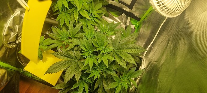 Growreport Bild 7
